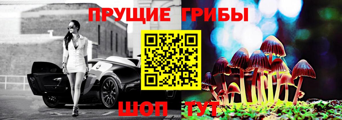 Псилоцибиновые грибы ЛСД  Вход с VPN  Щёлково  цены   Псилоцибиновые грибы ЛСД 