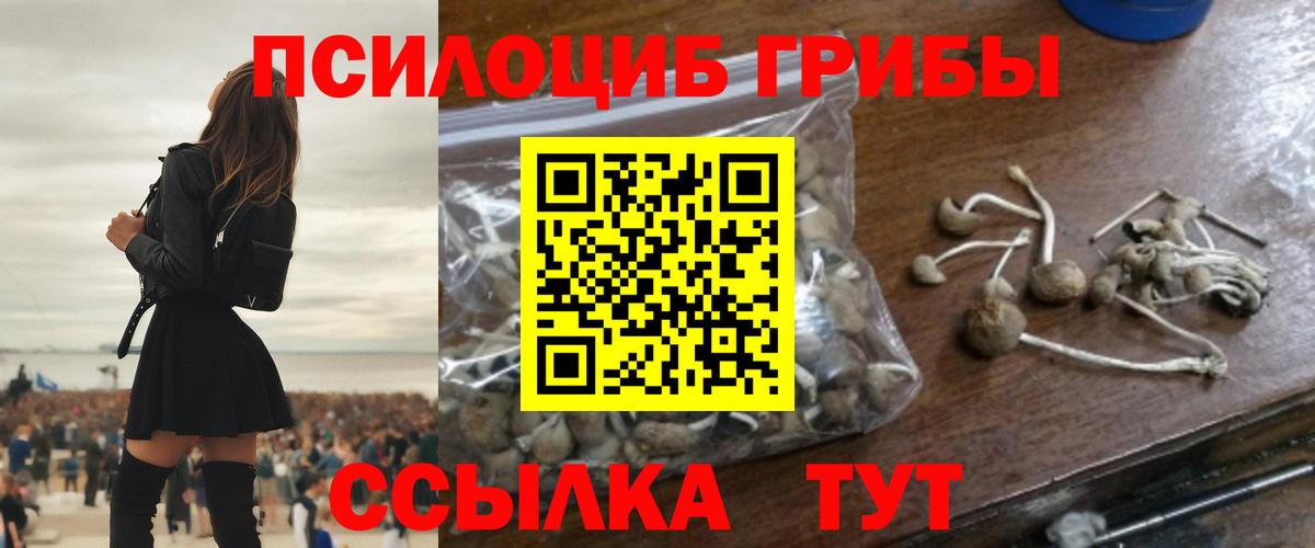 Псилоцибиновые грибы прущие грибы Щёлково